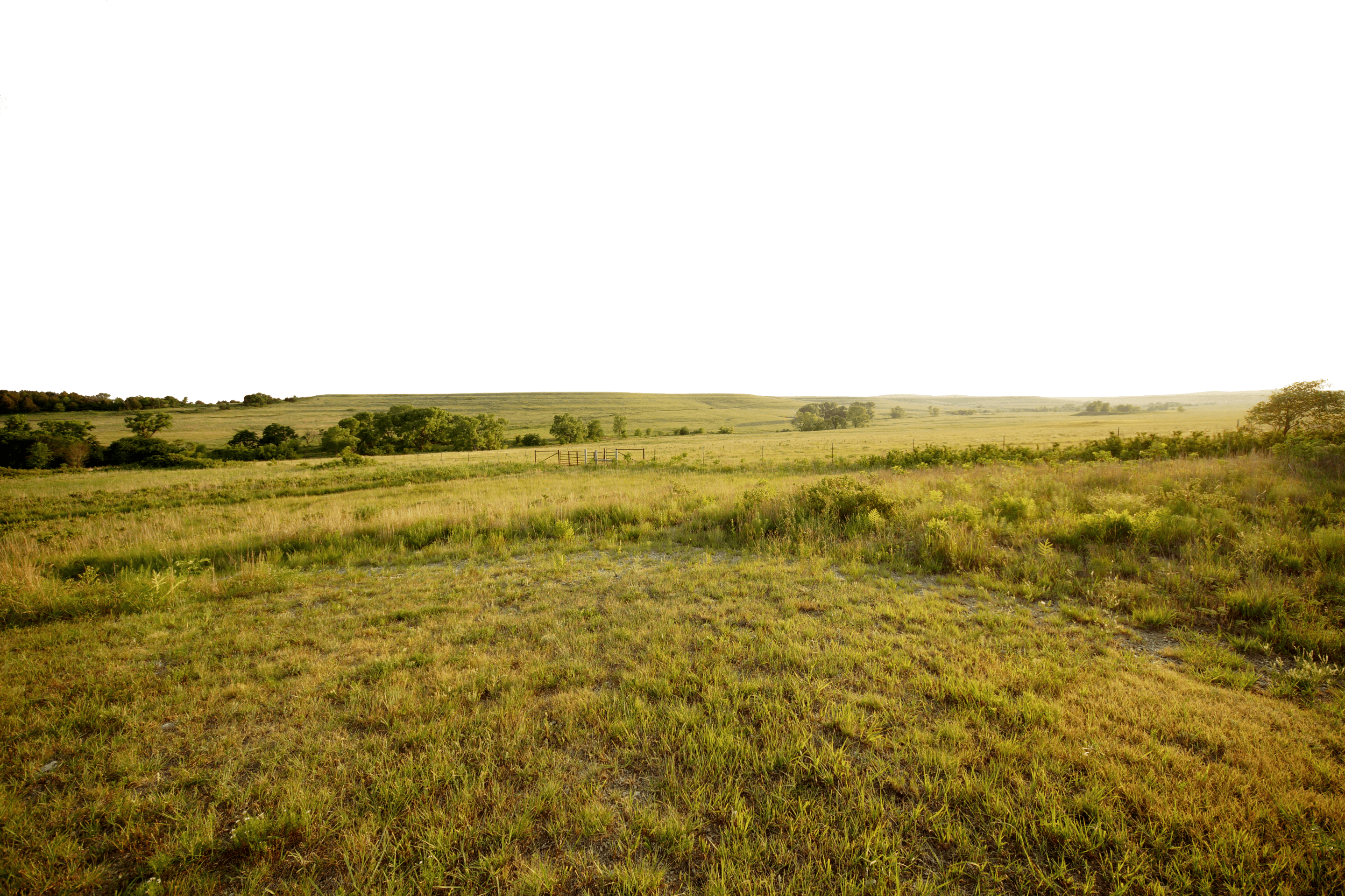 A field